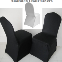 Spandex Chair Covers - $1.75